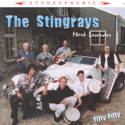 The Stingrays - Riders In The Sky