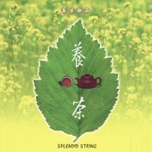 String Fling & Tea-drinking Heart artwork