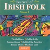 Festival Of Irish Folk - Volume 2