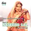 Best Of Naseebo Lal Filmi Songs Vol. 26 album lyrics, reviews, download