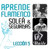 Aprende Flamenco - Soleá y Seguiriyas - Lección 5 artwork