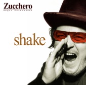 Shake, 2003