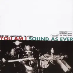 Sound As Ever - You Am I
