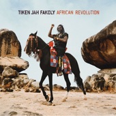 African Revolution artwork