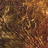 Kiln - Pureloveplate