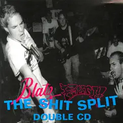 The Shit Split Double CD by Various Artists album reviews, ratings, credits