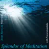 Healing Sounds of Ocean Waves and Waterfall With Swaramandala album lyrics, reviews, download