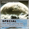Special - When Moon Is Burning Gold (Vlad Seven Remix)