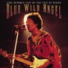 Blue Wild Angel: Live At the Isle of Wight, 2002