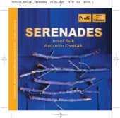 Serenade In e Major, Op. 22, B. 52: II. Tempo Di Valse artwork