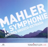 Mahler: 1. Symphonie artwork