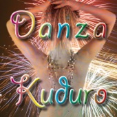 Danza Kuduro (Lady Caramba-karaoke) artwork