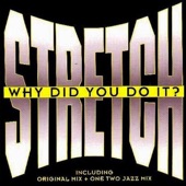 Why Did You Do It (Blow Your Funky Horn Mix) artwork