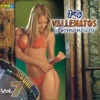 14 Vallenatos Romanticos, Vol. 7, 2007