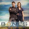 Bones (Original Television Soundtrack), 2010