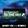 Stream & download Straight to the Sky (feat. Robin S.) - Single