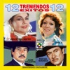 12 Tremendos Exitos