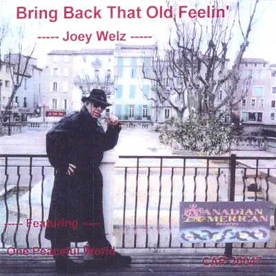 Bring Back That Old Feelin' - Joey Welz