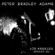 Los Angeles (Winter '09) - Peter Bradley Adams