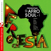 The Afro Soul-Tet - Afro Revolt