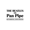 The Beatles On Pan Pipe