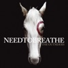NEEDTOBREATHE - Won't Turn Back