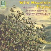 Wild Mountain Thyme artwork