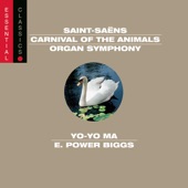 Carnival of the Animals (Chamber Version): Aquarium artwork