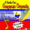 A Fondo Con...Guayacan Orquesta, 2012