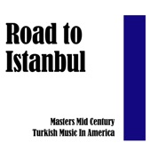Road to Istanbul: Mid Century Turkish Music In America artwork