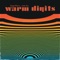 One Track Groove (Living Stereo) - Warm Digits lyrics