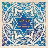 Rabbi Yehuda Halevy Sung (By etti ankri) artwork