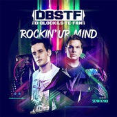 D-Block & S-te-fan - Rockin Ur Mind (Compilation) artwork