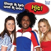 Want ik heb wat ik wou - Single