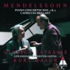 Cyprien Katsaris - Piano Concerto No. 2 in D Minor Op. 40: III. Finale - Presto scherzando