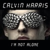 I'm Not Alone (Tiesto Remix) - Single