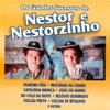 Os Grandes Sucessos de Nestor e Nestorzinho