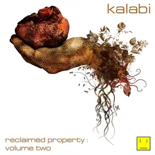 ladda ner album Kalabi - Reclaimed Property