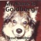 The Vasectomy Song (duet W/Kacey Jones) - Jesse Goldberg lyrics