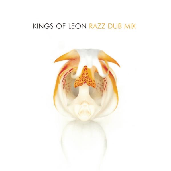 Razz (Dub Mix) - Single - Kings of Leon