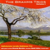 The Brahms Trios, Vol. 1 artwork