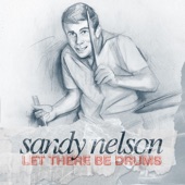 Sandy Nelson - Alexes