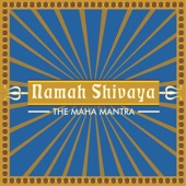 Namah Shivay artwork