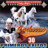 Los Cachorros De Juan Villareal Collecion Oro