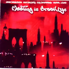 Meeting In Brooklyn by John Donaldson album reviews, ratings, credits
