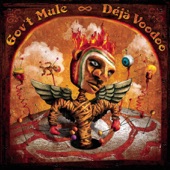 Gov't Mule - About to Rage