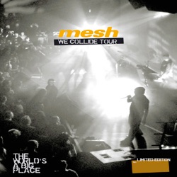 Mesh - Friends Like These