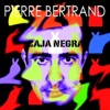 Pierre Bertrand - Questions