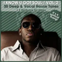 I Know U Got Soul Vol. 2 - 30 Deep & Vocal House Tunes by Various Artists album reviews, ratings, credits