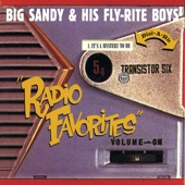 Big Sandy & His Fly-Rite Boys - What a Dream It's Been